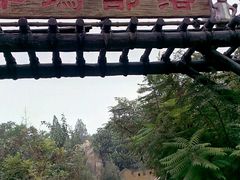 -辛玛王国游乐园