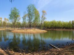 -东郊湿地公园