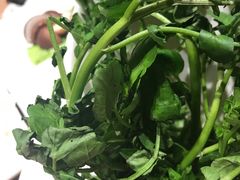 -掂档潮汕牛肉火锅(沈阳万象城店)