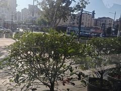 -麦当劳(田林好又多店)