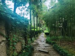 -绍兴鲁迅故里·沈园景区