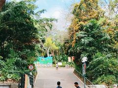 -九龙公园