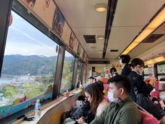 -伊豆观海列车