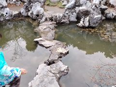 -清晏园