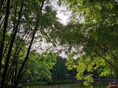 -晓港公园