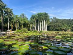-中国科学院西双版纳热带植物园