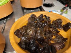 -龍歌自助小火锅(崂山丽达店)