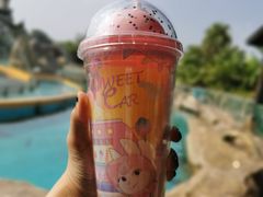 -厦门方特梦幻王国