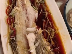 -时光码头民谣公社