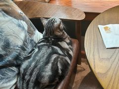 -咖法森林·咖啡  酒吧(天河店)