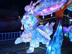 -淄博花灯齐彩城