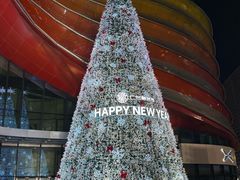 -太二酸菜鱼(花都融创茂店)