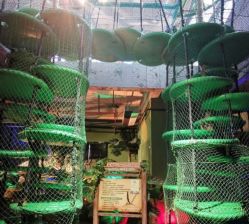 -恐龙探索乐园(磁器口店)