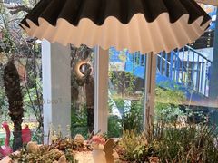 -春树下·树屋花房西餐厅(罍街AS1980店)