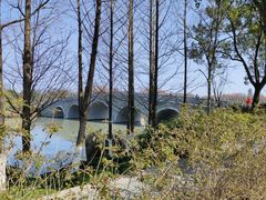 -三垟湿地