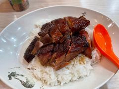 双拼-一乐烧鹅(中环店)