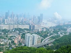 -南山植物园