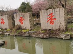 -香雪海