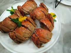 -食神鱼头佛跳墙(百子湾旗舰店)