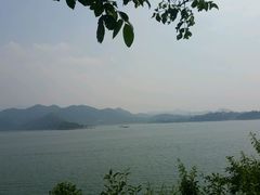 -望湖烤鱼