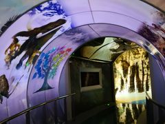 -房山世界地质公园博物馆