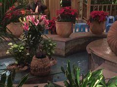 润园四季椰子鸡(韵动家园店)-润园四季椰子鸡火锅(海上世界店)