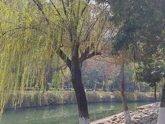 -沙河三洞古桥公园