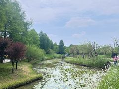 -宁波杭州湾国家湿地公园