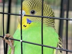 -前小桔亲子创意农场·草莓采摘·露营烧烤