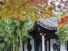 -梅园