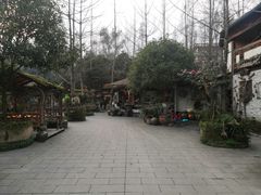 -青城甲(青城山店)