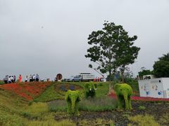 -光明小镇欢乐田园