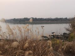 -上海市保健医疗中心