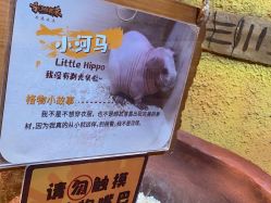 点击看大图 -奇幻萌宠部落(映月湖环宇城店)