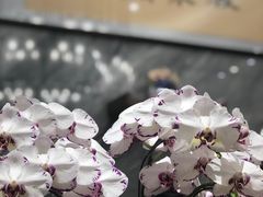 -骏莱海鲜鱼港(五角场店)