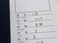-申普宠物医院·心脏介入·心血管微创(总院)