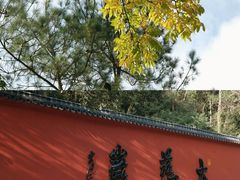 -大慈岩风景区
