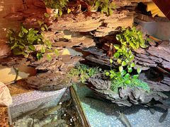 -山水茶艺馆·点心粤菜·30年老字号