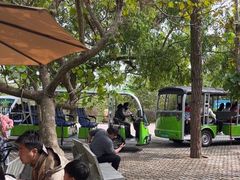 -广东惠东海龟国家级自然保护区