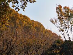 -河南省黄河迎宾馆