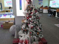 -中国电信(南施街营业厅)