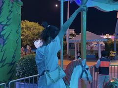 -巨鹏飞梦幻海岸