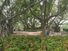 景点-白鹭洲公园