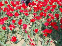 -双峰山国家森林公园-售票处