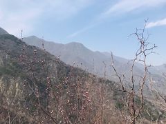 -北京鹫峰国家森林公园