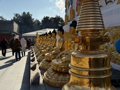 -护国法轮寺