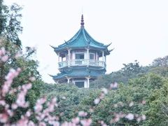 -无锡梅园公园