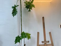-Kekimatata 生日蛋糕·烘焙教学
