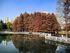 -白塘生态植物园