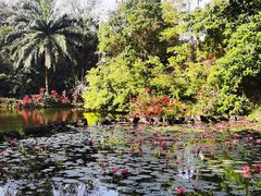 -海南热带野生动植物园